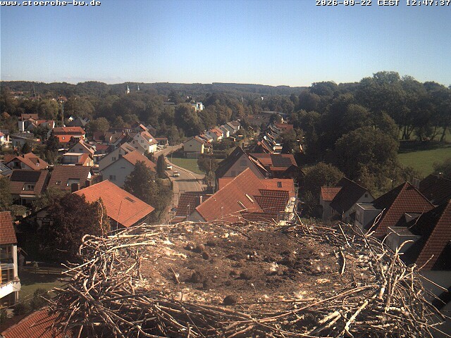 Archiv Foto Webcam Storchennest Bad Waldsee