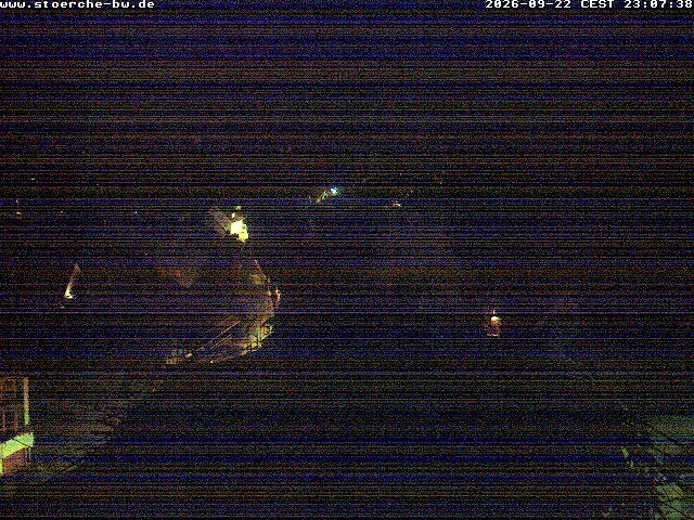 Archived image Webcam Stork's Nest Bad Waldsee