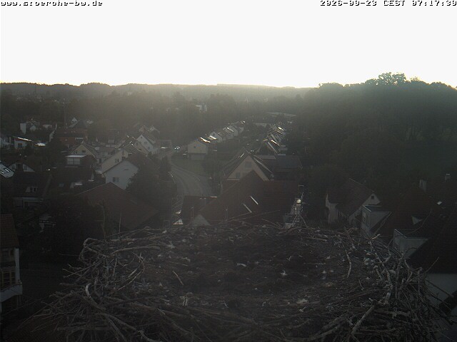 Archived image Webcam Stork's Nest Bad Waldsee