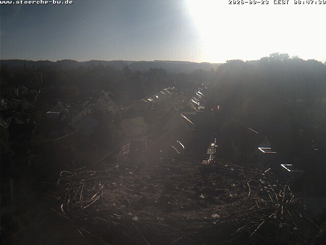 Archived image Webcam Stork's Nest Bad Waldsee