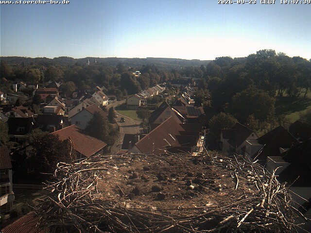 Archived image Webcam Stork's Nest Bad Waldsee