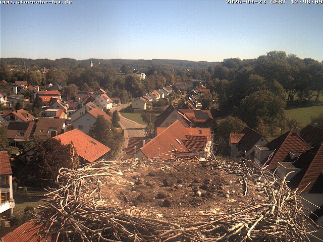Archived image Webcam Stork's Nest Bad Waldsee
