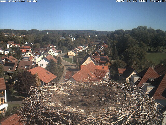 Archived image Webcam Stork's Nest Bad Waldsee