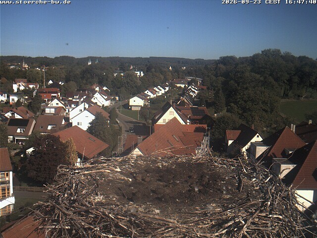 Archived image Webcam Stork's Nest Bad Waldsee