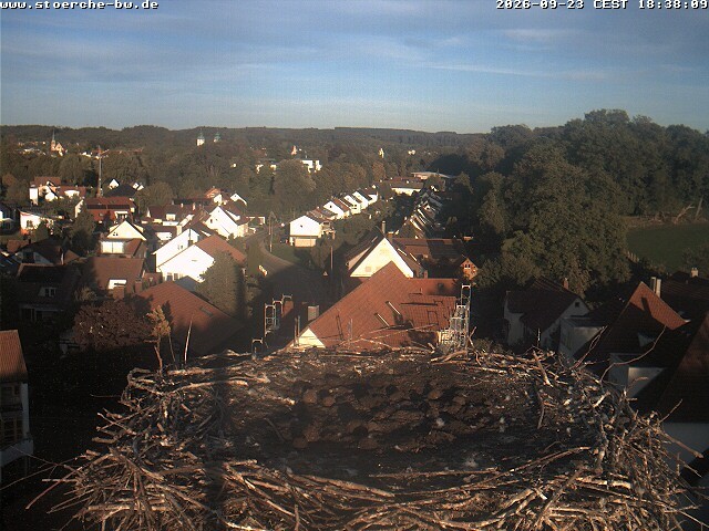 Archived image Webcam Stork's Nest Bad Waldsee