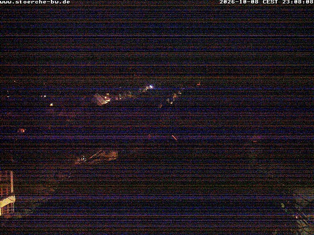 Archiv Foto Webcam Storchennest Bad Waldsee
