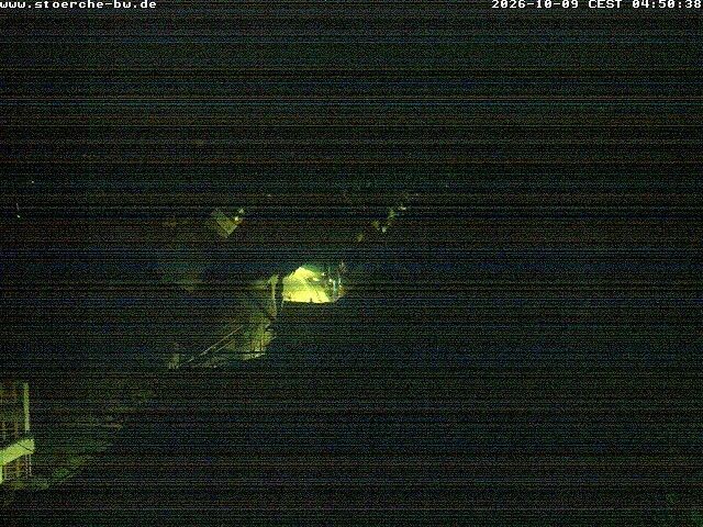 Archiv Foto Webcam Storchennest Bad Waldsee