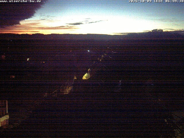Archiv Foto Webcam Storchennest Bad Waldsee