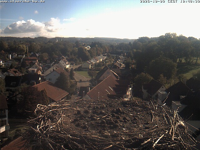 Archiv Foto Webcam Storchennest Bad Waldsee
