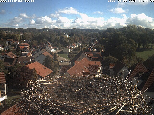 Archiv Foto Webcam Storchennest Bad Waldsee