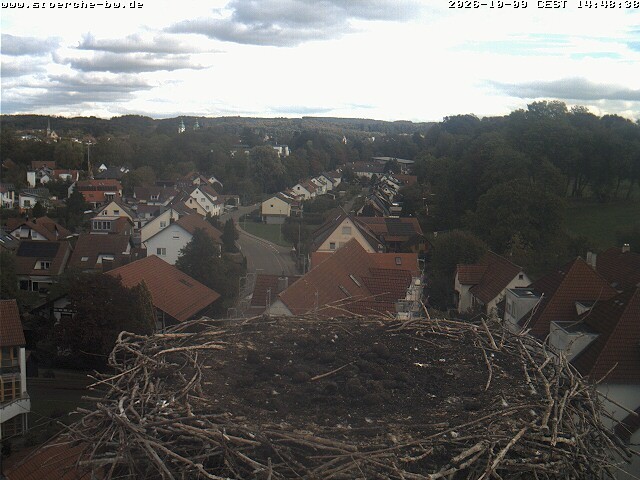 Archiv Foto Webcam Storchennest Bad Waldsee