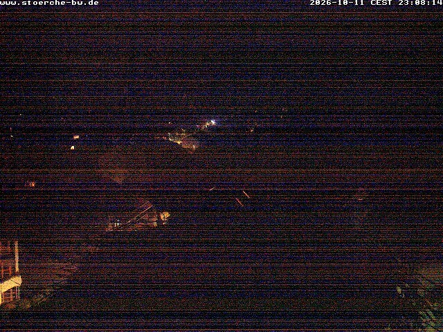 Archiv Foto Webcam Storchennest Bad Waldsee