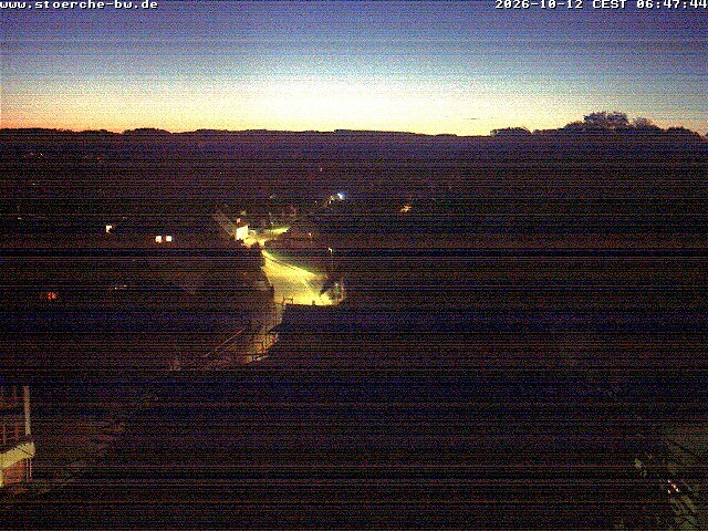 Archiv Foto Webcam Storchennest Bad Waldsee