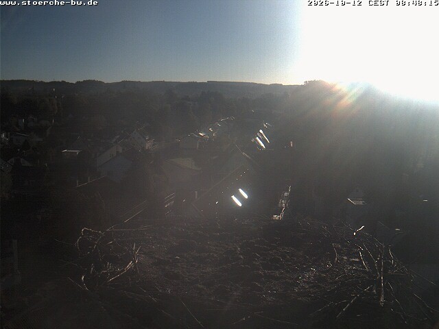 Archiv Foto Webcam Storchennest Bad Waldsee
