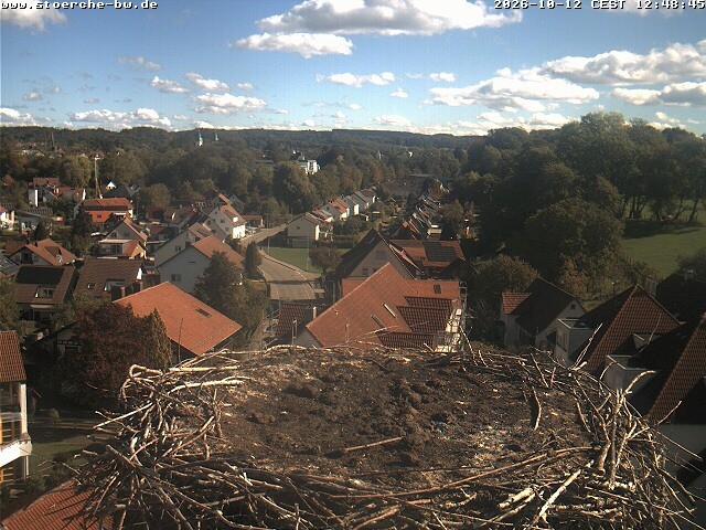 Archiv Foto Webcam Storchennest Bad Waldsee
