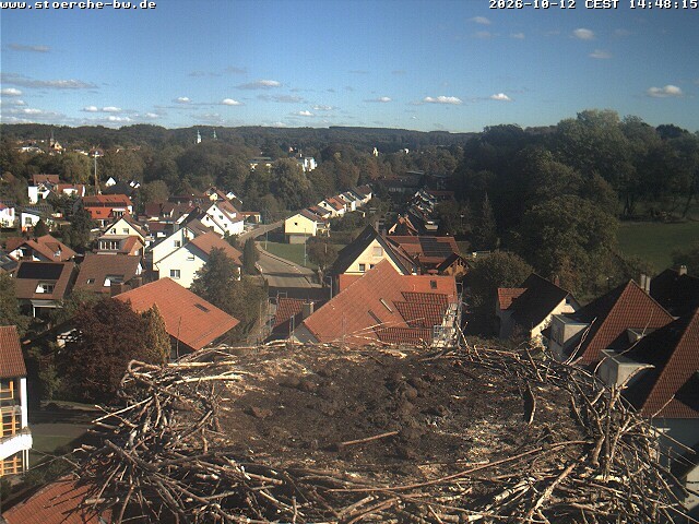 Archiv Foto Webcam Storchennest Bad Waldsee