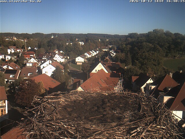 Archiv Foto Webcam Storchennest Bad Waldsee