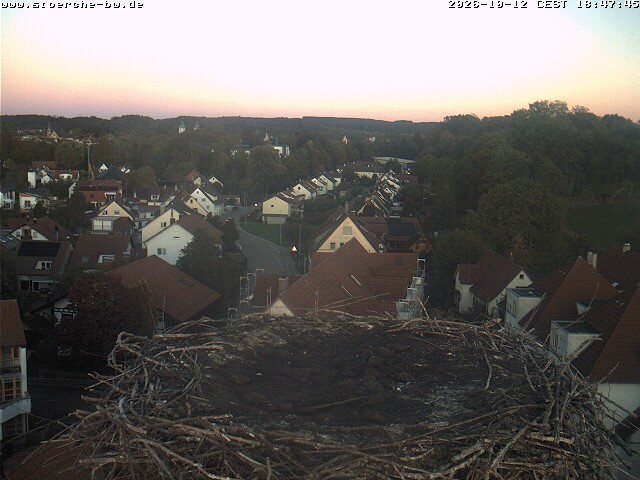 Archiv Foto Webcam Storchennest Bad Waldsee