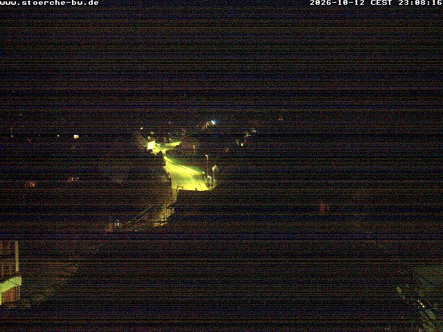 Archiv Foto Webcam Storchennest Bad Waldsee