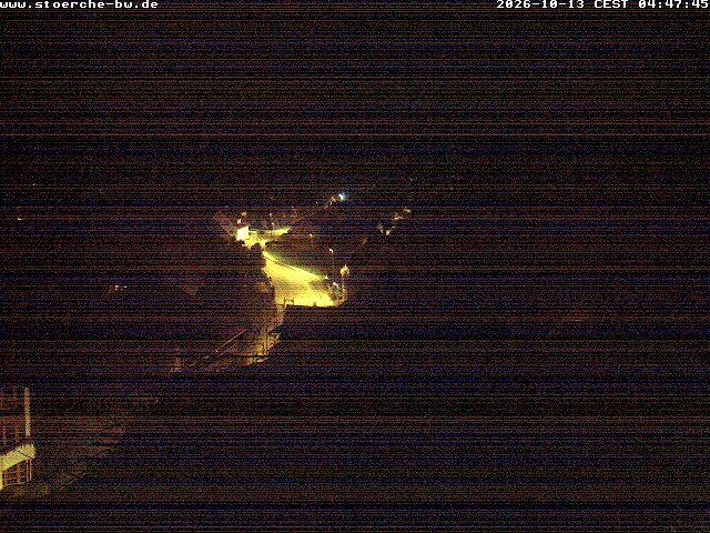 Archiv Foto Webcam Storchennest Bad Waldsee