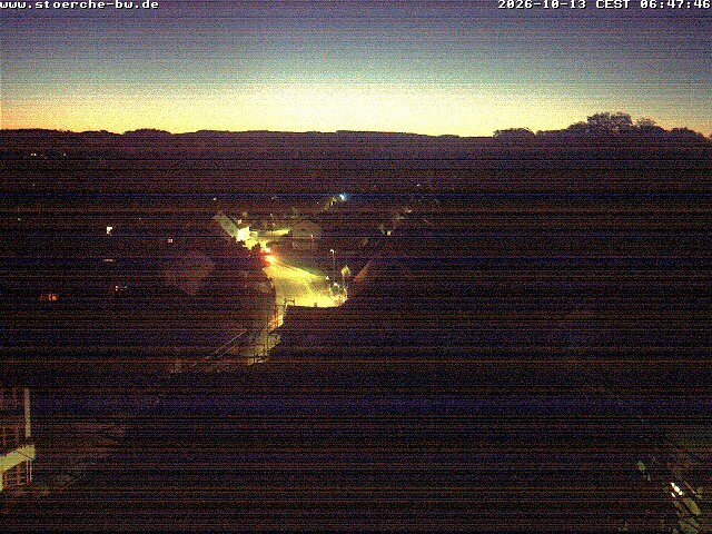 Archiv Foto Webcam Storchennest Bad Waldsee