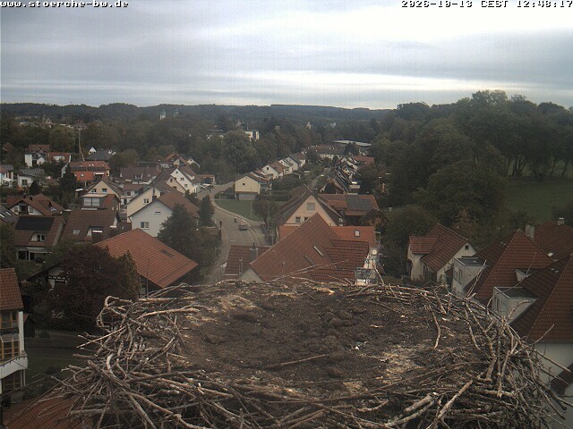 Archiv Foto Webcam Storchennest Bad Waldsee