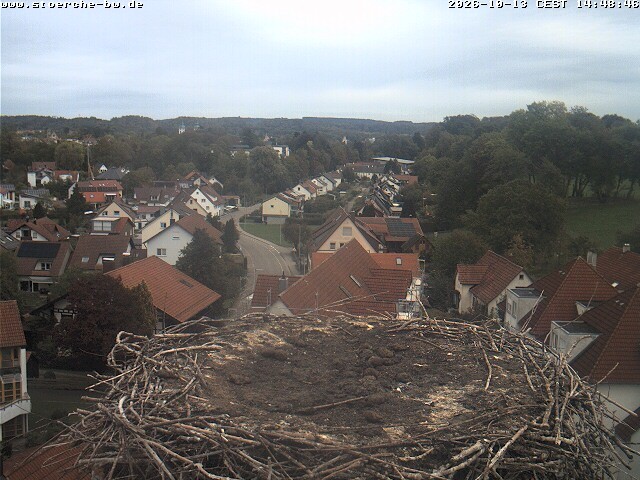 Archiv Foto Webcam Storchennest Bad Waldsee