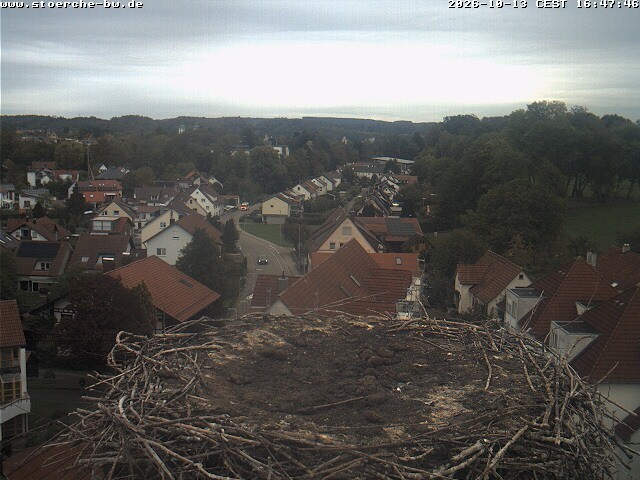 Archiv Foto Webcam Storchennest Bad Waldsee