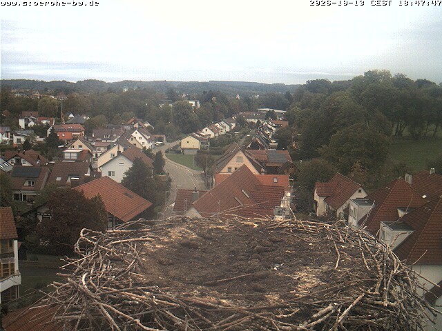 Archiv Foto Webcam Storchennest Bad Waldsee