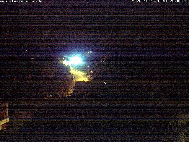 Archiv Foto Webcam Storchennest Bad Waldsee