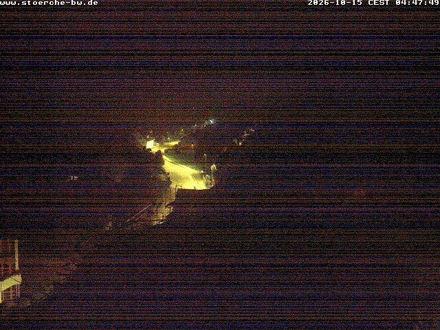 Archiv Foto Webcam Storchennest Bad Waldsee