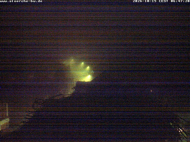 Archiv Foto Webcam Storchennest Bad Waldsee