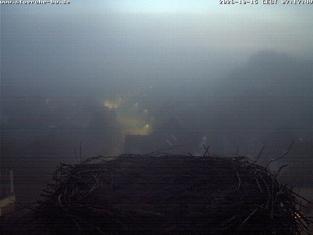 Archiv Foto Webcam Storchennest Bad Waldsee