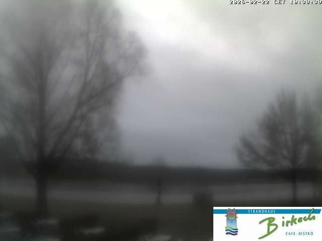 Archiv Foto Webcam Strandhaus Birkach - Blick auf den Rothsee