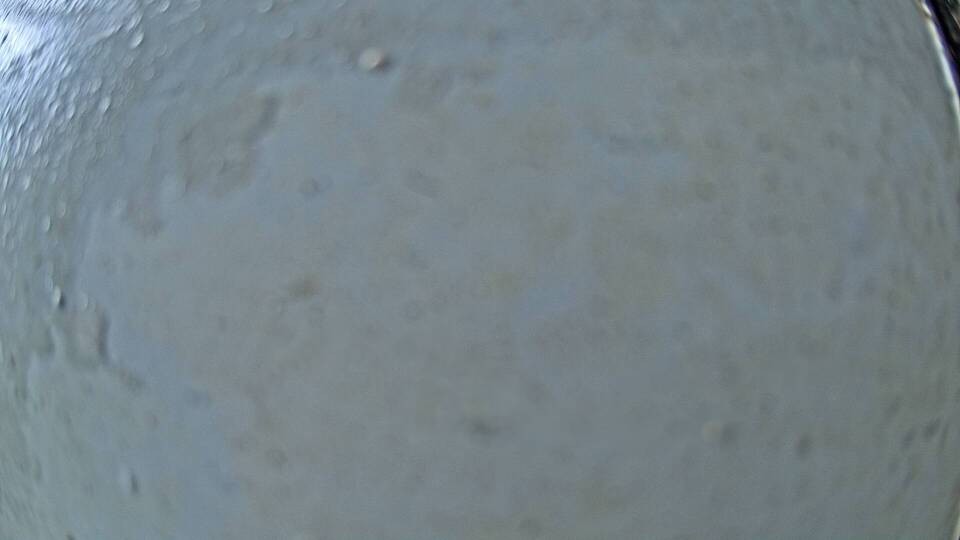 Archiv Foto Webcam Fuschlsee: Ebners Waldhof