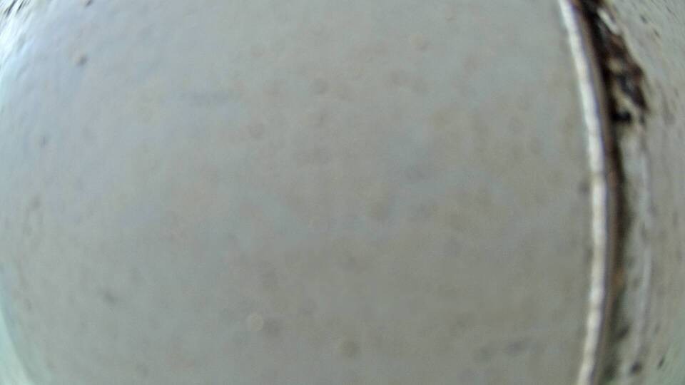 Archiv Foto Webcam Fuschlsee: Ebners Waldhof