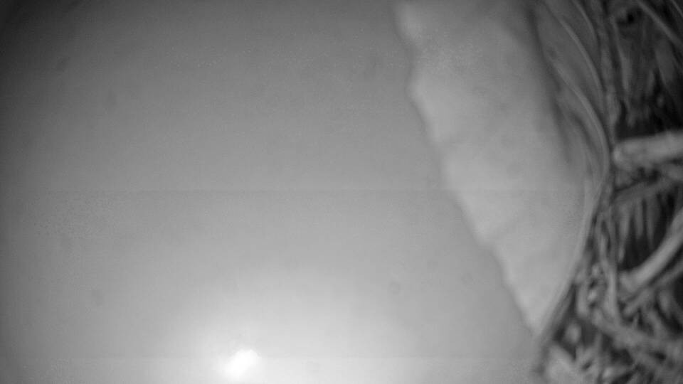 Archiv Foto Webcam Fuschlsee: Ebners Waldhof