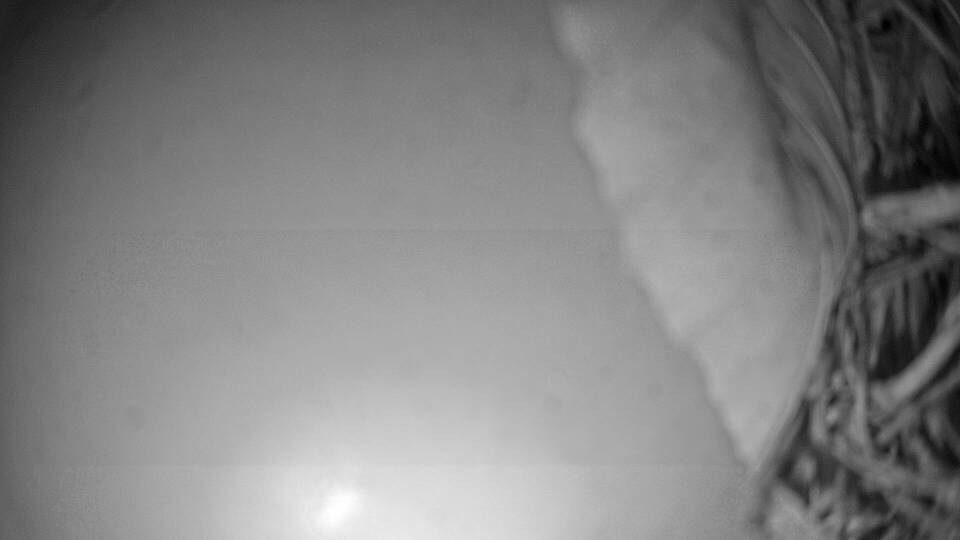 Archiv Foto Webcam Fuschlsee: Ebners Waldhof