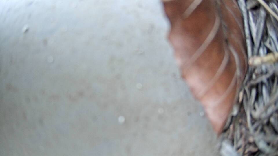 Archiv Foto Webcam Fuschlsee: Ebners Waldhof