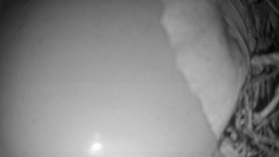 Archiv Foto Webcam Fuschlsee: Ebners Waldhof