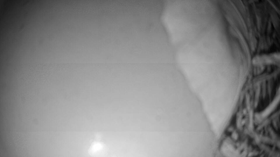 Archiv Foto Webcam Fuschlsee: Ebners Waldhof