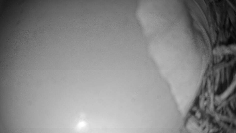 Archiv Foto Webcam Fuschlsee: Ebners Waldhof