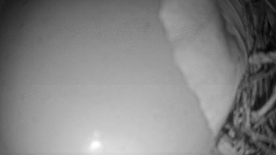 Archiv Foto Webcam Fuschlsee: Ebners Waldhof