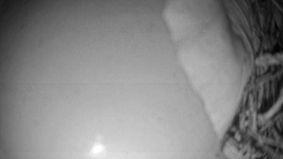 Archiv Foto Webcam Fuschlsee: Ebners Waldhof