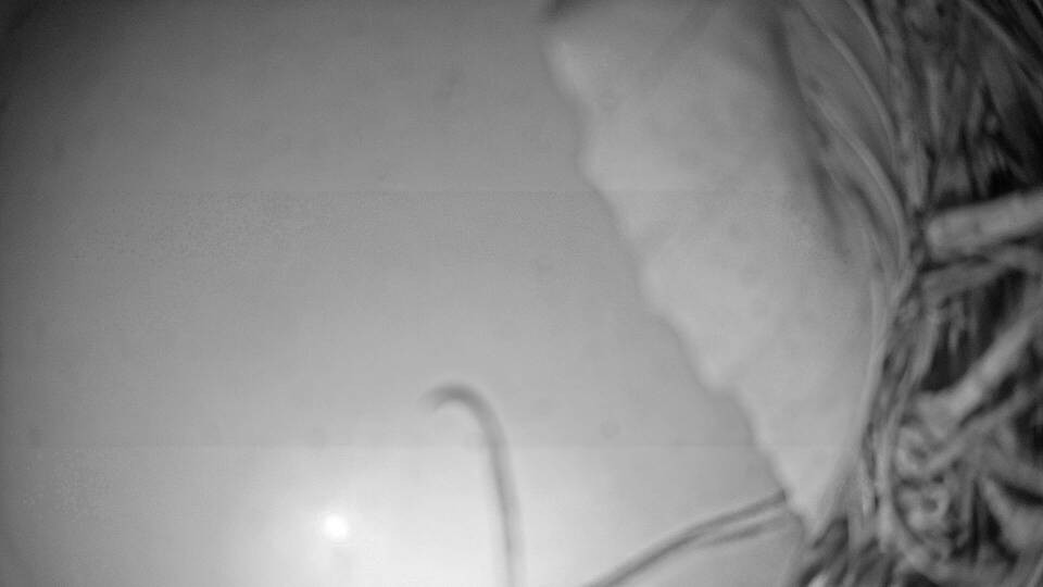 Archiv Foto Webcam Fuschlsee: Ebners Waldhof