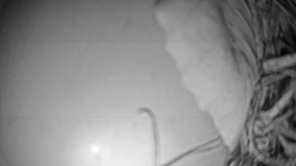 Archiv Foto Webcam Fuschlsee: Ebners Waldhof