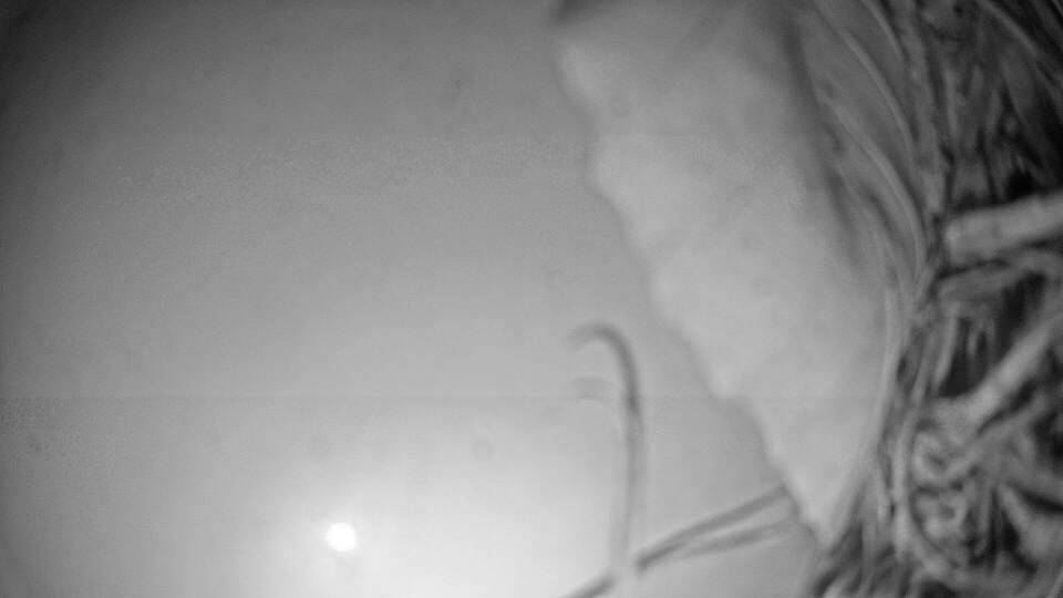 Archiv Foto Webcam Fuschlsee: Ebners Waldhof