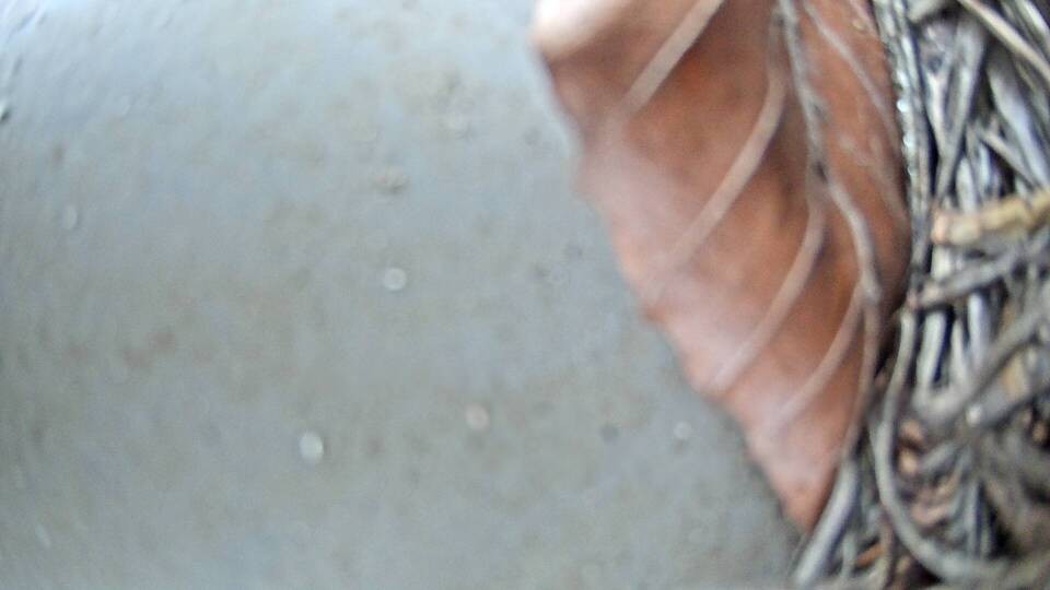 Archiv Foto Webcam Fuschlsee: Ebners Waldhof