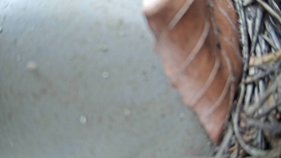 Archiv Foto Webcam Fuschlsee: Ebners Waldhof