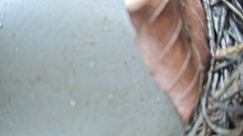 Archiv Foto Webcam Fuschlsee: Ebners Waldhof